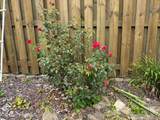 304 Chester St - Photo 23