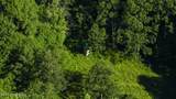 650 River Rd - Photo 30