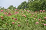 4555 Ky-433 - Photo 41
