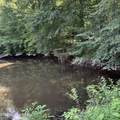 89 Taylor Fork Rd - Photo 5