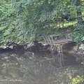 89 Taylor Fork Rd - Photo 6
