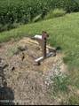 101 Winston Davis Rd - Photo 117