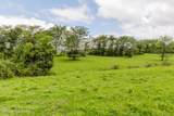 7438 Bagdad Rd - Photo 29