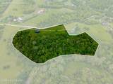 170 Pea Ridge Rd - Photo 4
