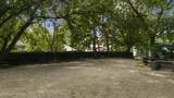 2613 Main St - Photo 10