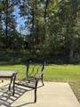 195 Harvest Moon Ct - Photo 5