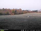 3533 Brush Grove Rd - Photo 46