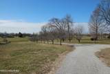 1472 Mulberry Pike Pike - Photo 125