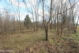1472 Mulberry Pike Pike - Photo 161