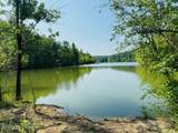 30 Tulip Poplar Ln - Photo 46