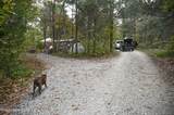 981 Limp Rd - Photo 13