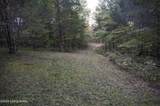 981 Limp Rd - Photo 16