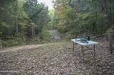 981 Limp Rd - Photo 17