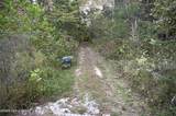 981 Limp Rd - Photo 18