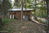 981 Limp Rd - Photo 22