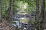 981 Limp Rd - Photo 28