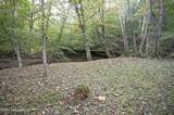 981 Limp Rd - Photo 29