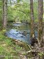 981 Limp Rd - Photo 32