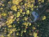 981 Limp Rd - Photo 42