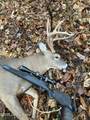 981 Limp Rd - Photo 43