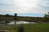 6687 Woods Pike - Photo 16