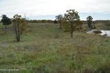 6687 Woods Pike - Photo 21