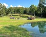 970 River Rd - Photo 5
