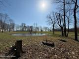 1230 Thomason Cemetery Rd - Photo 16