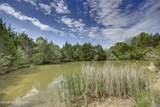 2305 Reuben Smith Rd - Photo 68