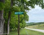 1298 Brier Fields Ln - Photo 2