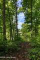 661 Averi Gray Ridge Dr - Photo 64