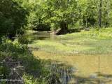 Tract 3&4 Pea Ridge Rd - Photo 10