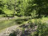 Tract 3&4 Pea Ridge Rd - Photo 4