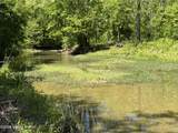 Tract 3&4 Pea Ridge Rd - Photo 5