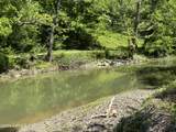 Tract 3&4 Pea Ridge Rd - Photo 9