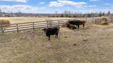 2942 Pendleton Rd - Photo 74