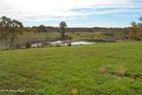 6687 Woods Pike - Photo 23
