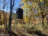 2 Cemetery Hill Rd - Photo 7