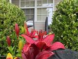 6516 Cottagemeadow Dr - Photo 10