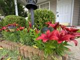 6516 Cottagemeadow Dr - Photo 6