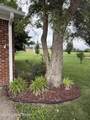 904 Tyler Cir - Photo 2