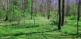 555 Fields Ln - Photo 9
