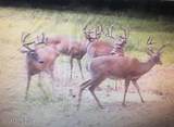 975 Long Run Rd - Photo 59