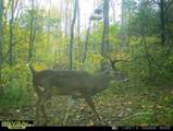 975 Long Run Rd - Photo 60