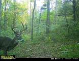 975 Long Run Rd - Photo 61