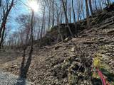 1126 Thomason Cemetery Rd - Photo 12