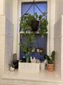 1433 Saint James Ct - Photo 20