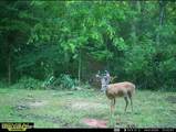 975 Long Run Rd - Photo 1