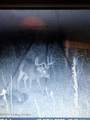 1504 Beech Creek Rd - Photo 8