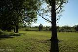 1472 Mulberry Pike Pike - Photo 88